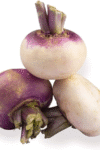Turnip (સલગમ)