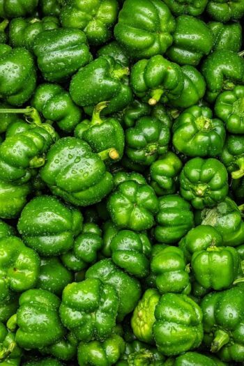 Capsicum (શિમલા મિર્ચ)