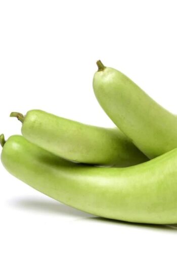 Bottle Gourd (દૂધી)