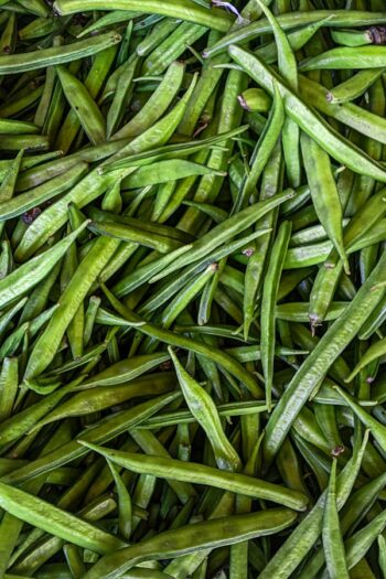 Cluster Beans (ગુવાર)