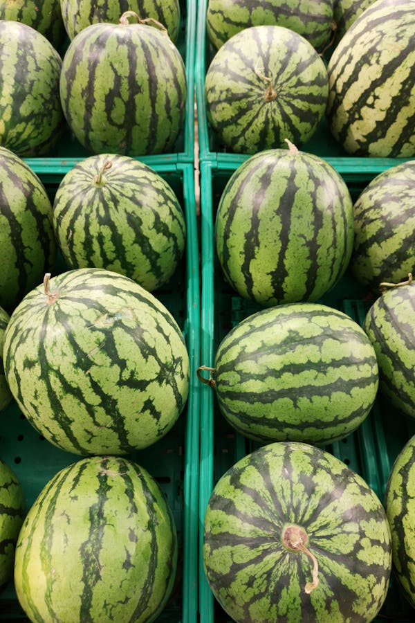 pexels-enginakyurt-2894205