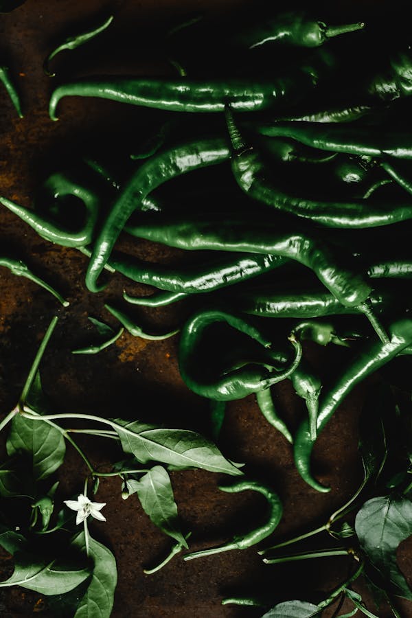 pexels-eva-bronzini-5501488