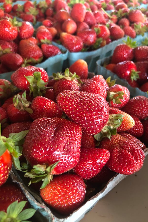 pexels-jonathan-david-1312107-31404695