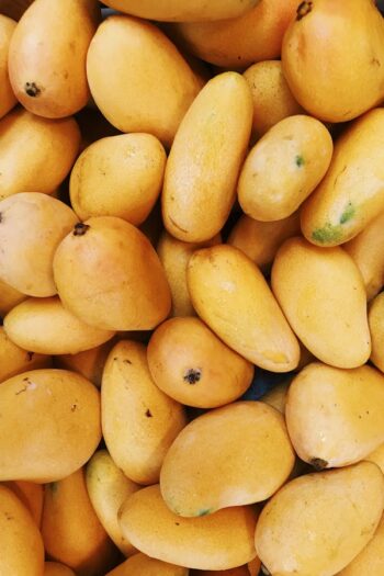 Mango (કેરી)