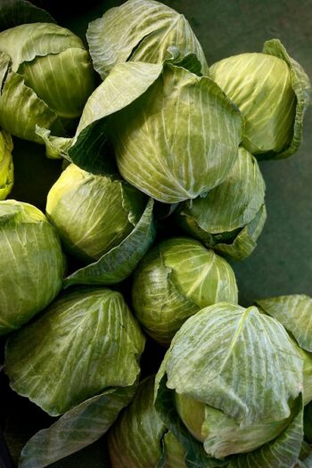 Lettuce (લેટસ)