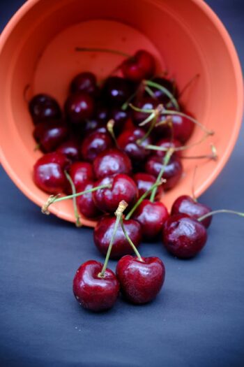 Cherry (ચેરી)