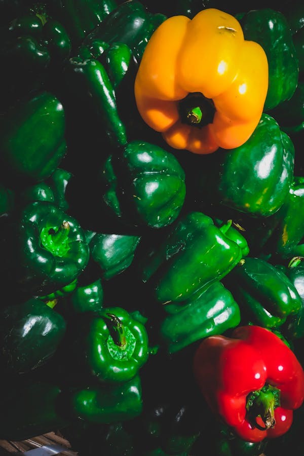 pexels-rahulp9800-1843385