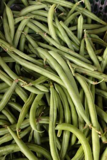 French Beans (ફણસી)