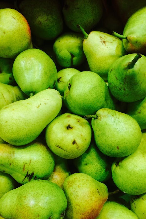 pexels-stella-schafer-68153-2095571