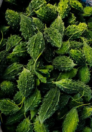 Bitter Gourd (કારેલા)