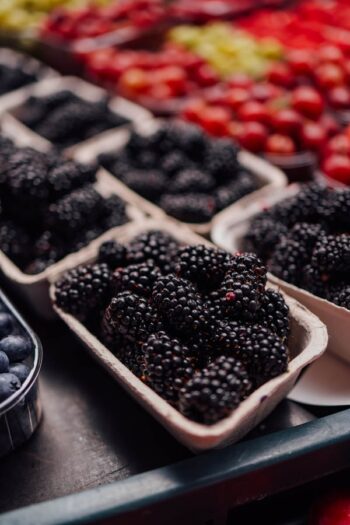 Mulberry (શેતૂર)