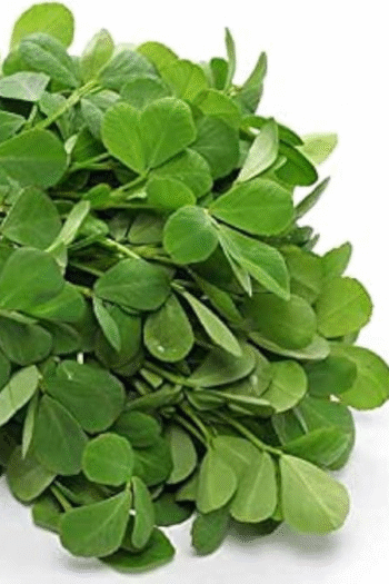 Fenugreek Leaf (લીલી મેથી)