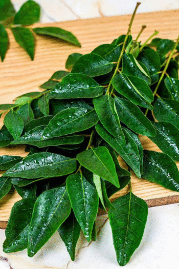Curry Leaf (મીઠો લીમડો)