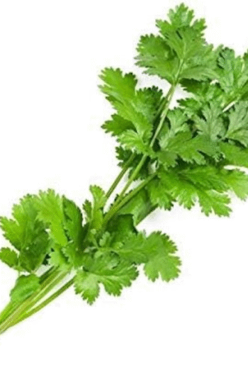 Parsley (કસૂરી મેથી જેવી વનસ્પતિ )