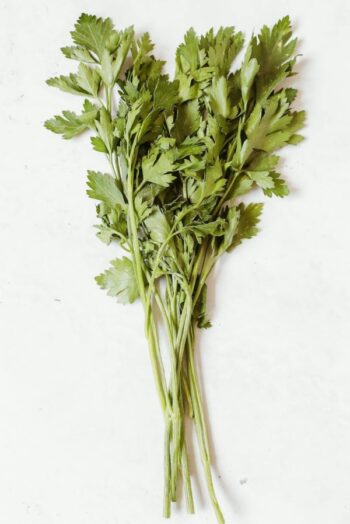 Celery (સલાડ બનાવવા માટેનું શાકભાજી)